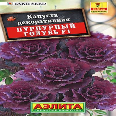 Капуста декоративная Пурпурный голубь F1, 7 шт семян (Лучшая цена)