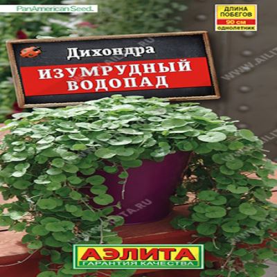 Дихондра Изумрудный водопад, 3 шт семян (Лучшая цена)
