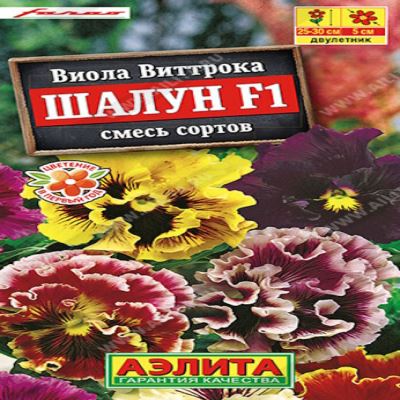 Виола Шалун, смесь, 5 шт семян (Лучшая цена)