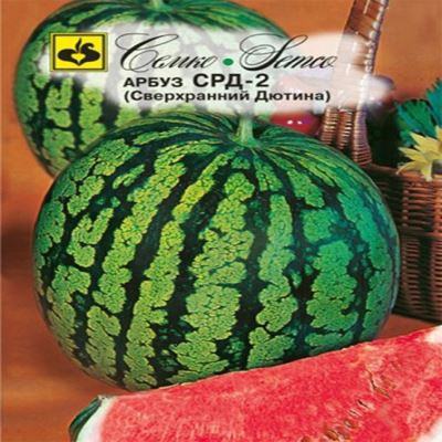 Арбуз СРД-2, 10 шт семян (Лучшая цена)
