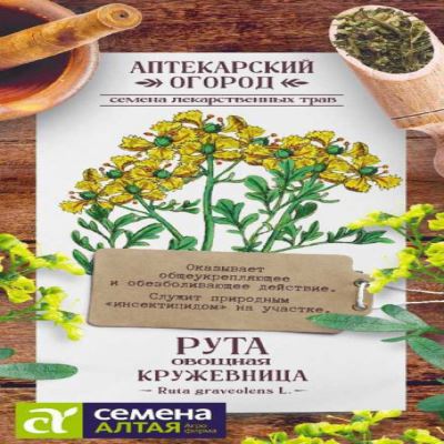 Рута Кружевница, 0.1 г (Лучшая цена)