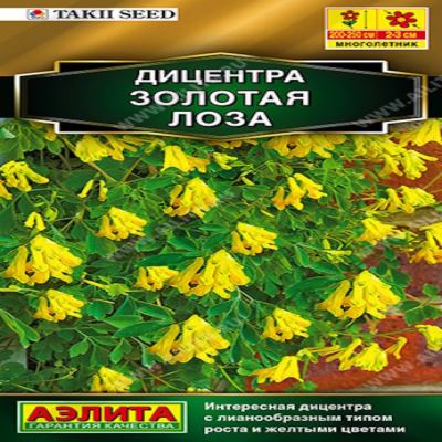 Дицентра Золотая лоза, 5 шт семян (Лучшая цена)
