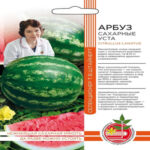 Арбуз Сахарные уста, 10 шт семян (Авторская селекция Штайнерт Т.В.) (Лучшая цена)