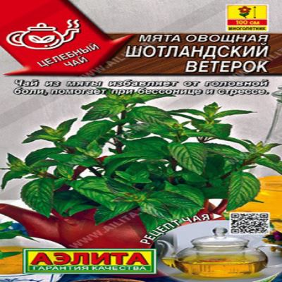 Мята овощная Шотландский ветерок, 0.03 г (Лучшая цена)