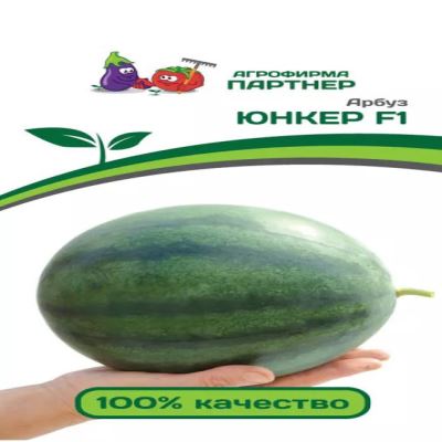 Арбуз Юнкер F1, 5 шт семян (Лучшая цена)