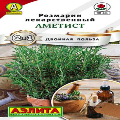 Розмарин Аметист, 20 шт семян (Лучшая цена)