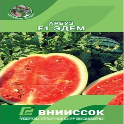 Арбуз Эдем F1, 10 шт семян (Авторские семена) (Лучшая цена)