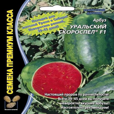 Арбуз Уральский скороспел, 3 шт семян (Лучшая цена)