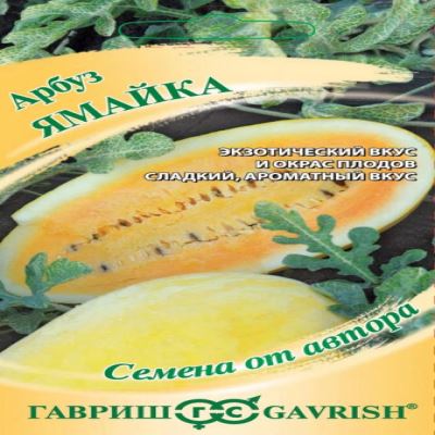 Арбуз Ямайка, 5 шт семян (Семена от автора) (Лучшая цена)