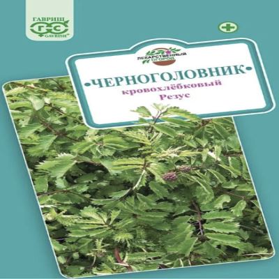 Черноголовник кровохлебковый (Кровохлёбка) Резус, 0.5 г (Лучшая цена)