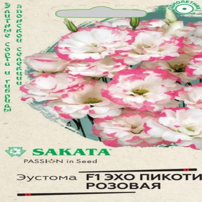 Эустома Эхо пикоти розовая F1, 4 шт семян (Лучшая цена)