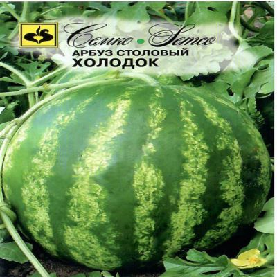 Арбуз Холодок, 2 г (Лучшая цена)