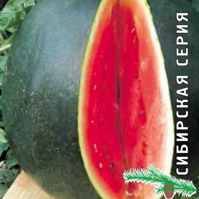 Арбуз Сибирские огни (Лучшая цена)