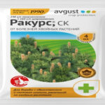 Ракурс (Август), 4 мл (Лучшая цена)