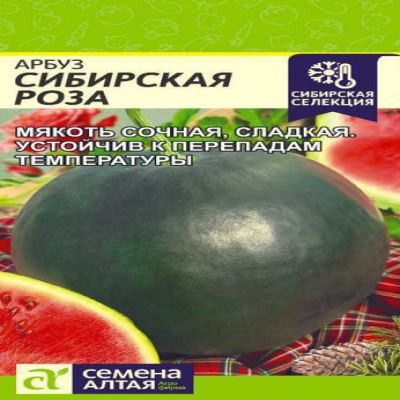 Арбуз Сибирская Роза, 1 г (Лучшая цена)